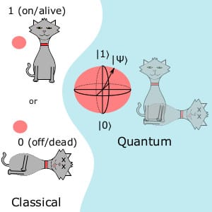 What are Quantum Materials? Appears in Frontiers in Energy Research Newsletter